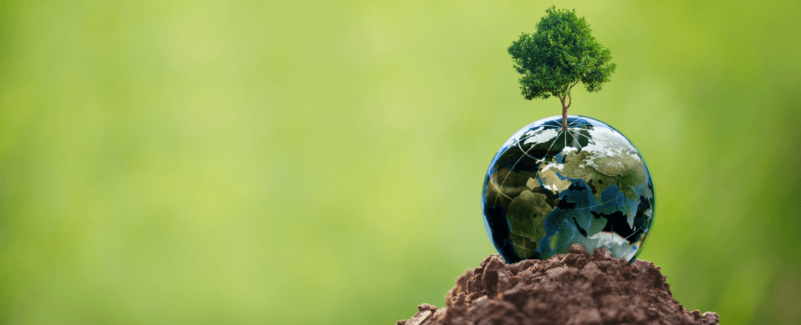 Tree Plantation
