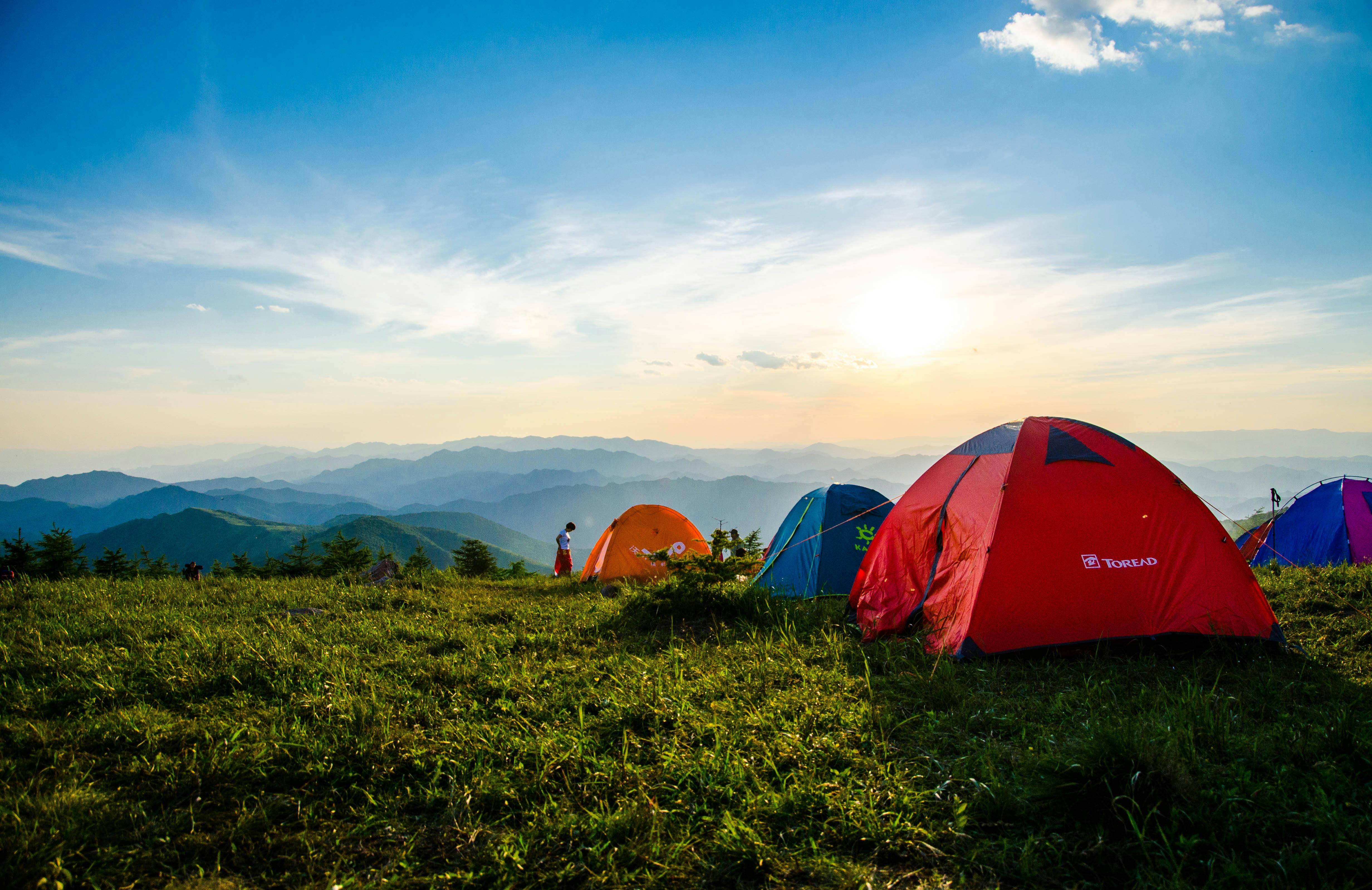 Travel & Hospitality